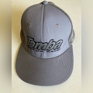Gray Mesh Back Cap